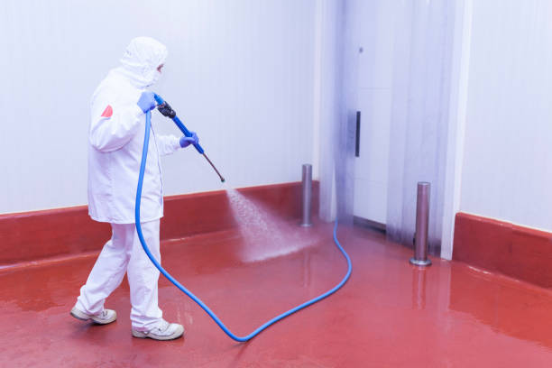 Professional Pressure Washing Services in Fellsburg, PA
